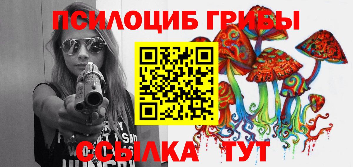 Псилоцибиновые грибы Cubensis  Псилоцибиновые грибы прущие грибы  Бор  Вход с VPN 